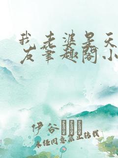 我老婆是天后张友笔趣阁小说