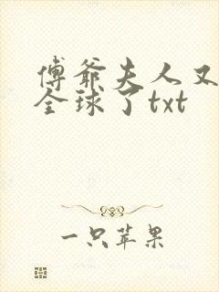 傅爷夫人又惊艳全球了txt