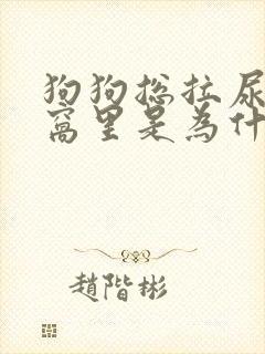 狗狗总拉尿在狗窝里是为什么