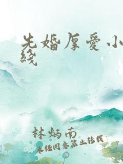 先婚厚爱小说在线