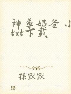 神尊奶爸 小说txt下载