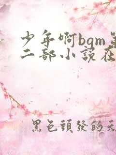 少年啊bgm第二部小说在线阅读