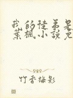 我的徒弟是女帝叶枫小说免费阅读