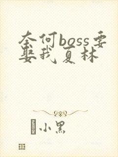 奈何boss要娶我夏林