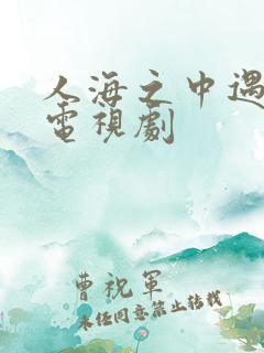 人海之中遇见你电视剧