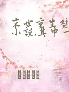 末世重生双男主小说,其中一个男主是丧尸王