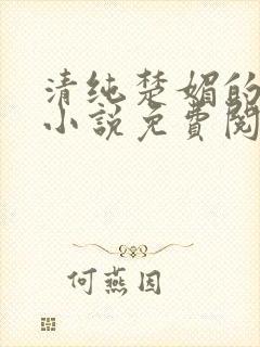 清纯楚媚的快穿小说免费阅读