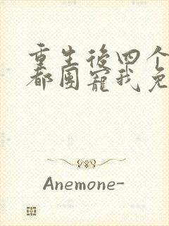 重生后四个哥哥都团宠我免费阅读