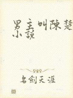 男主叫陈楚尧的小说