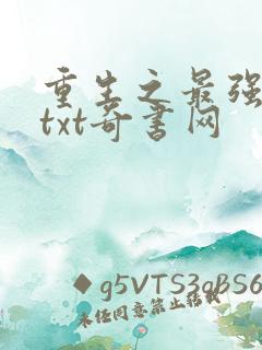 重生之最强人生txt奇书网