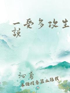 一受多攻生子小说
