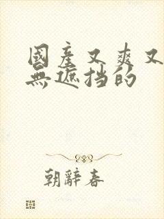 国产又爽又黄又无遮挡的