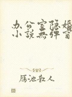 办公室隐婚轻黯小说无弹窗