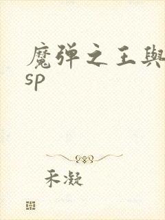 魔弹之王与战姬sp