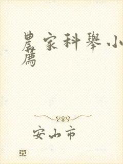 农家科举小说推荐