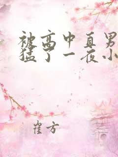 被高中直男室友猛了一夜小说