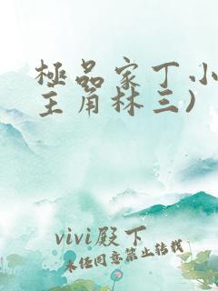 极品家丁小说(主角林三)