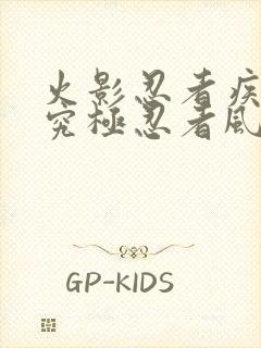 火影忍者疾风传究极忍者风暴4代充