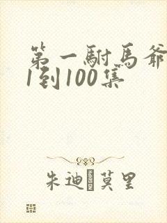 第一驸马爷短剧1到100集