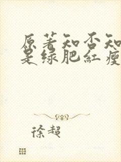 原著知否知否应是绿肥红瘦小说