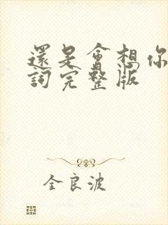 还是会想你的歌词完整版