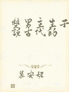 双男主生子文小说古代的