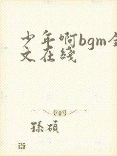 少年啊bgm全文在线