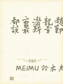 都市潜龙赵东小说最新章节列表