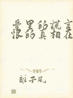 爱里的谎言,仇恨的真相在线看