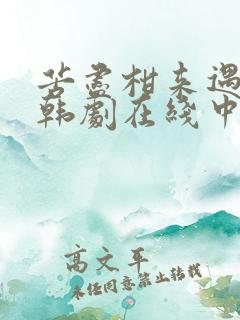 苦尽柑来遇见你韩剧在线中字完整版