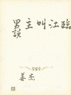 男主叫江临的小说