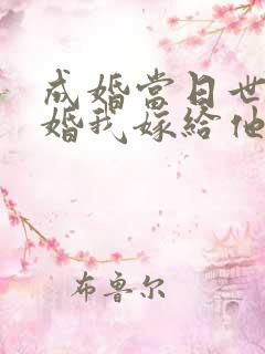 成婚当日世子逃婚我嫁给他爹是什么小说