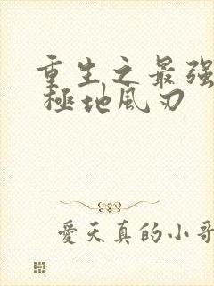 重生之最强星帝 极地风刃