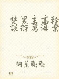 双男主高干文小说推荐海棠