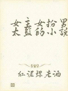 女主女扮男装是太监的小说