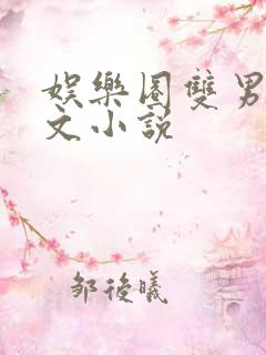 娱乐圈双男主甜文小说