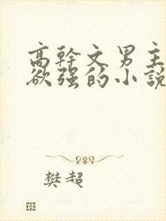 高干文男主占有欲强的小说