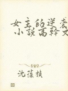 女主的逆袭之路 小说高干文
