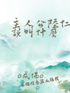 主人公陆仁的小说叫什么