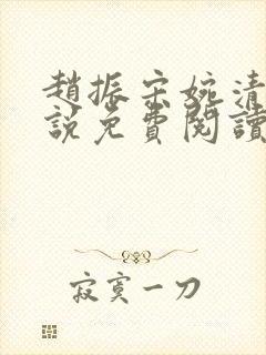 赵振宋婉清的小说免费阅读