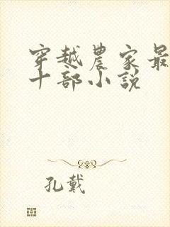 穿越农家最经典十部小说