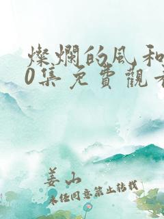 灿烂的风和海40集免费观看