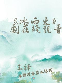 《冰雨火》电视剧在线观看完整版