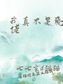 我真不是飞升大佬