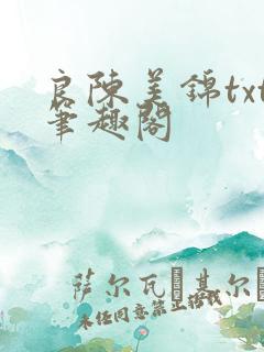 良陈美锦txt笔趣阁