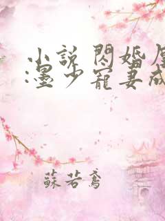 小说 闪婚厚爱:墨少宠妻成瘾