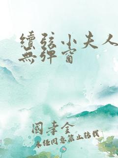 续弦小夫人小说无弹窗