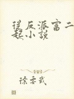 从反派富二代崛起小说