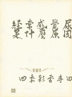 经常感觉尿不尽是什么原因