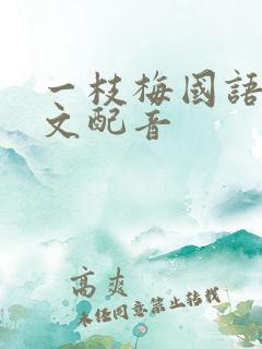 一枝梅国语版中文配音